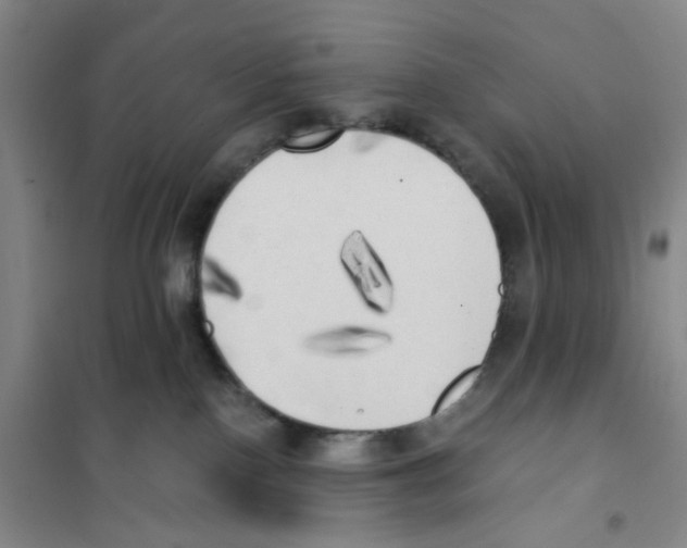 X0000101120090200807241209