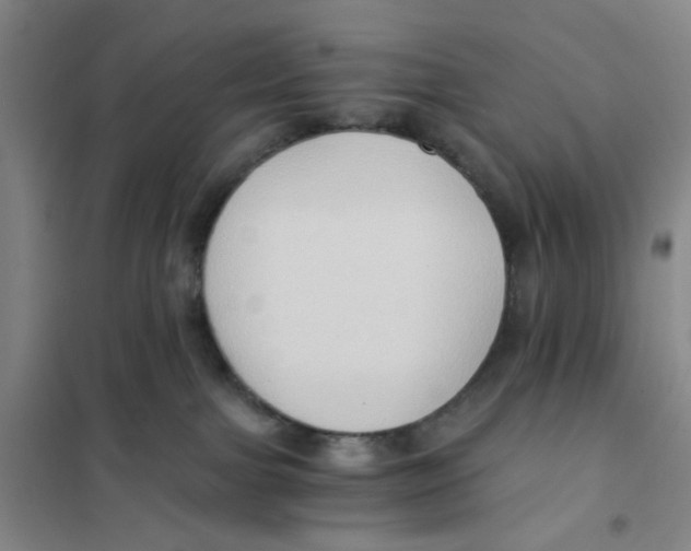 X0000101120091200807241209