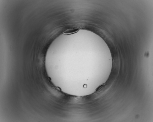 X0000101120092200807241209