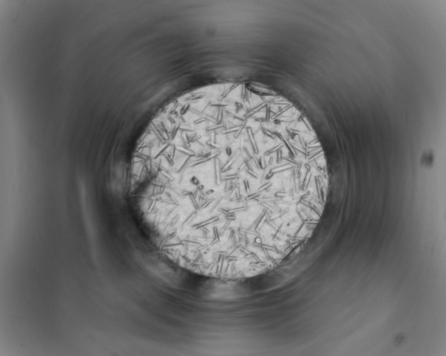 X0000101120093200807241209