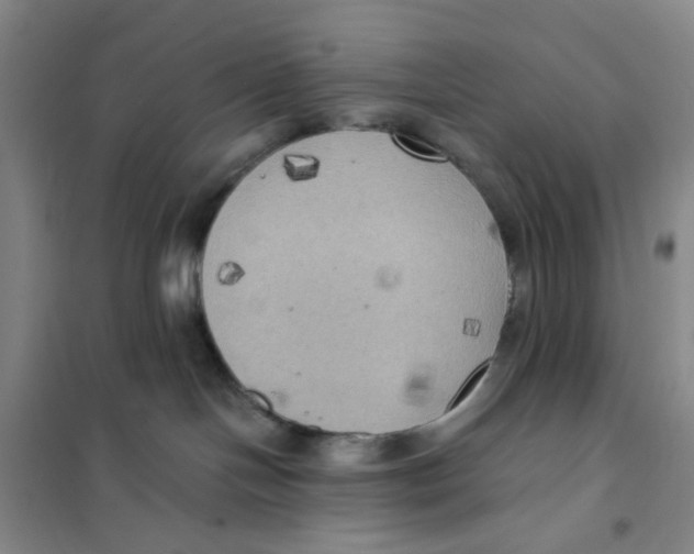 X0000101120094200807241209