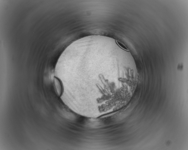 X0000101120095200807241209