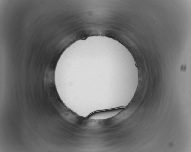 X0000101120096200807241210