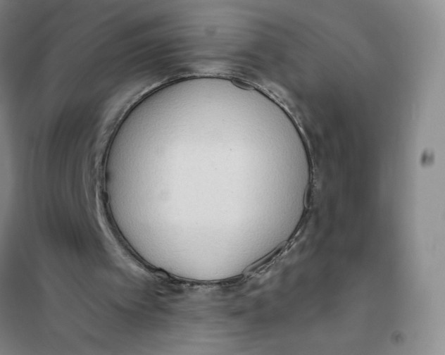 X0000101120097200807241209