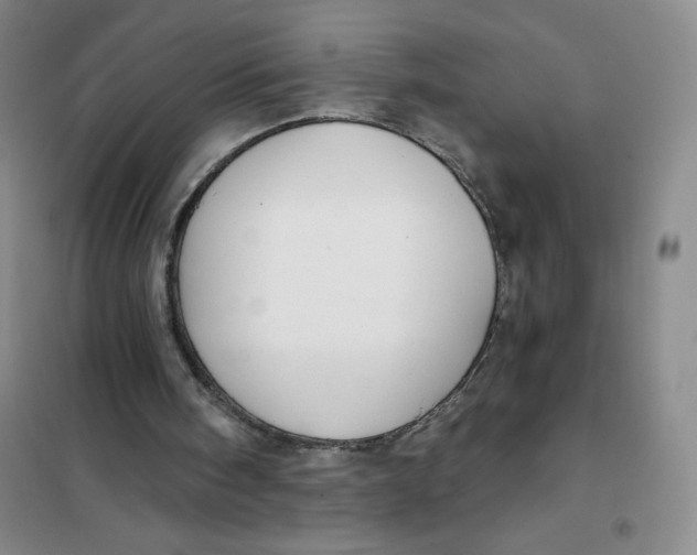 X0000101120098200807241209