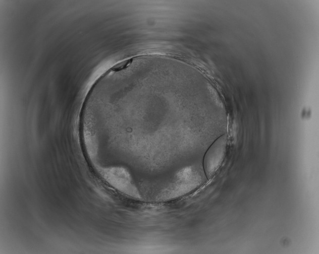 X0000101120099200807241209