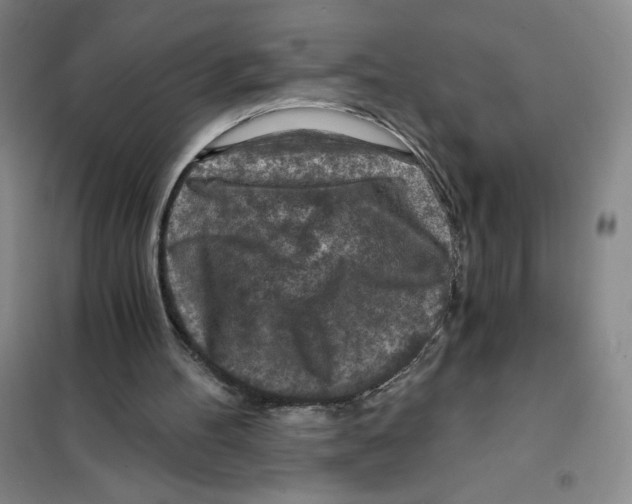 X0000101120100200807241209