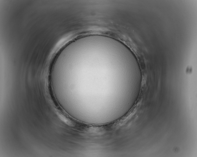 X0000101120101200807241209