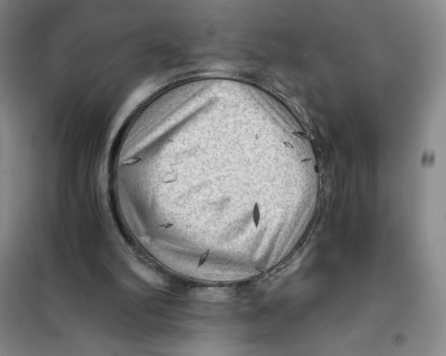 X0000101120102200807241209