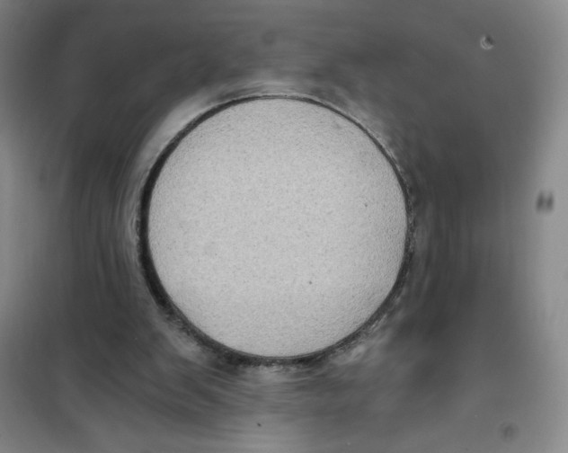 X0000101120103200807241209