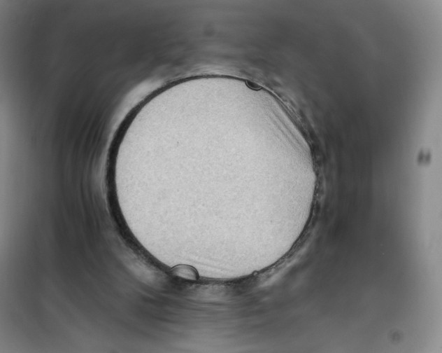 X0000101120104200807241209