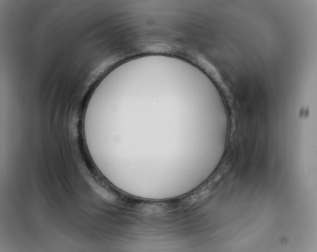 X0000101120106200807241209