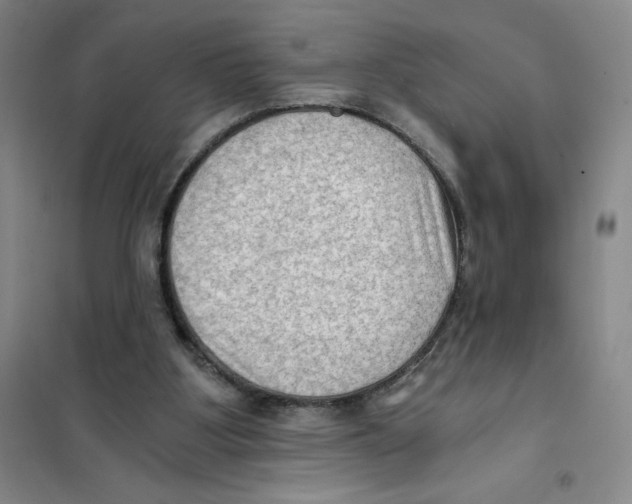 X0000101120107200807241209