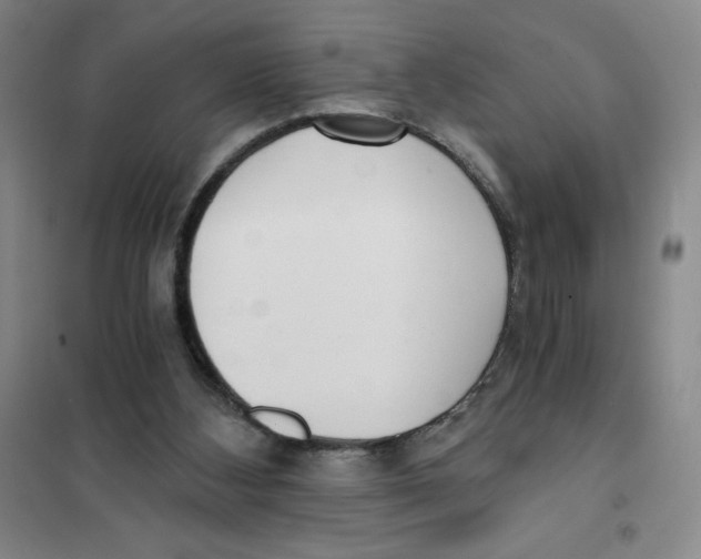 X0000101120108200807241209