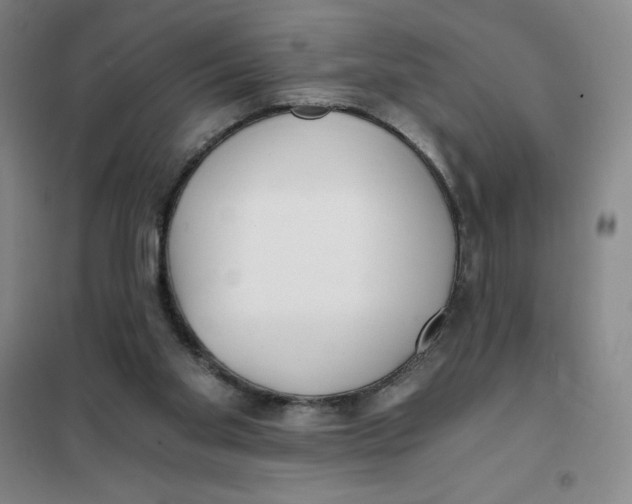 X0000101120109200807241209
