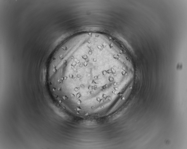 X0000101120110200807241209