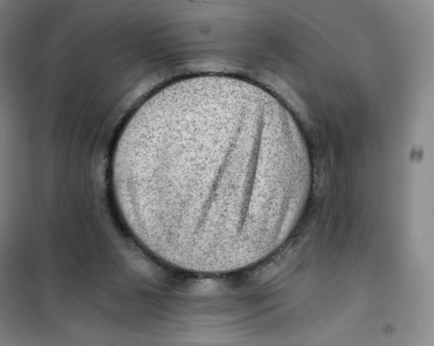 X0000101120111200807241209