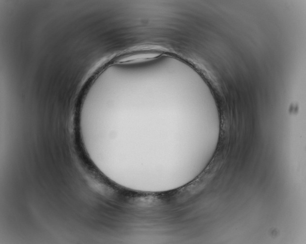 X0000101120112200807241209