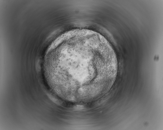 X0000101120114200807241209