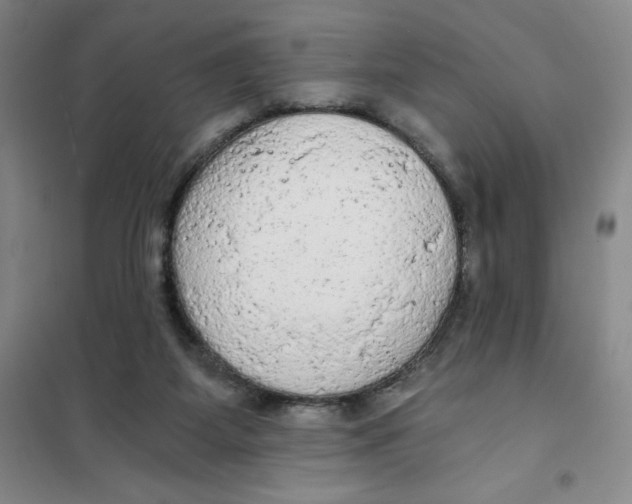 X0000101120115200807241209