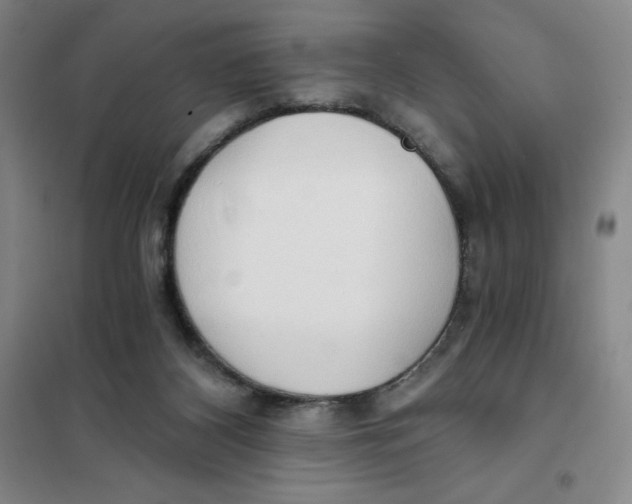 X0000101120116200807241209