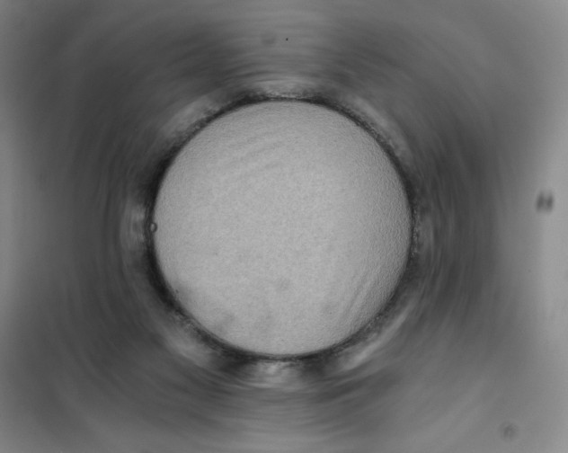X0000101120117200807241209