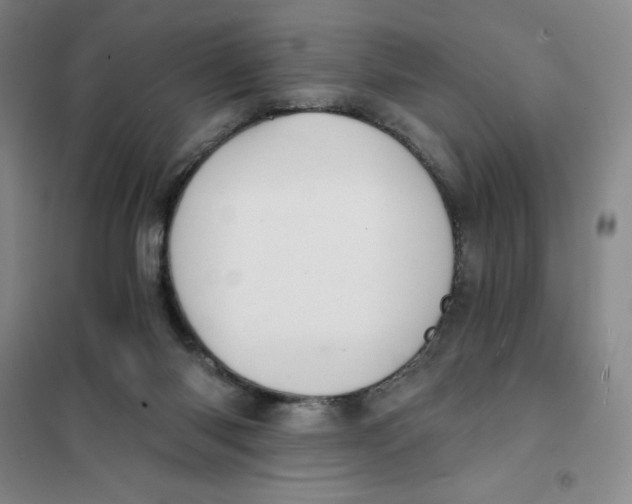 X0000101120118200807241209