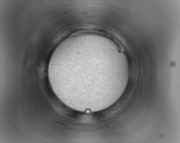 X0000101120119200807241209