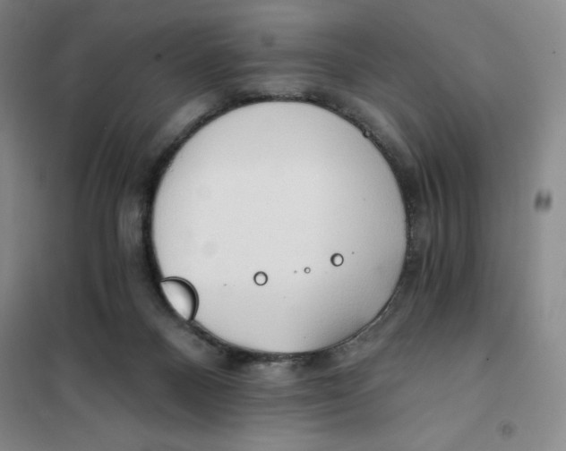 X0000101120120200807241209