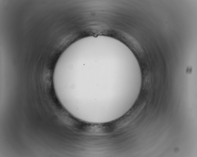 X0000101120121200807241209