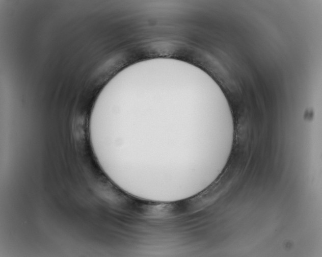 X0000101120122200807241209