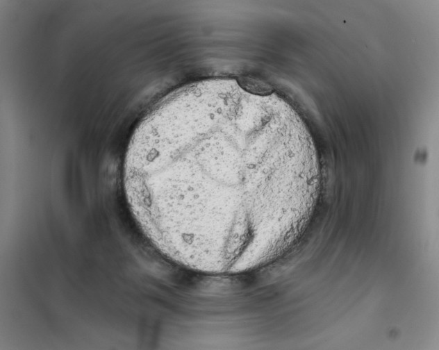 X0000101120123200807241208