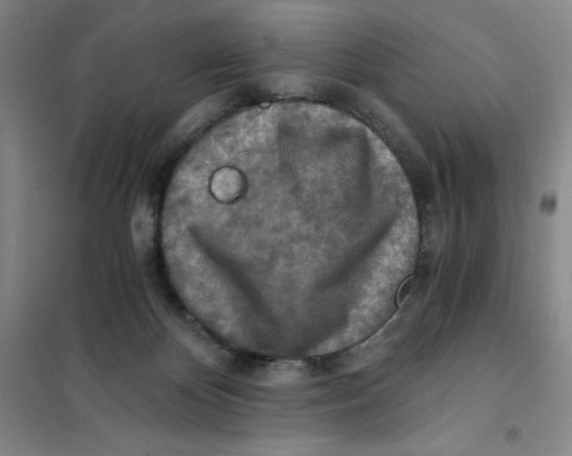X0000101120124200807241208