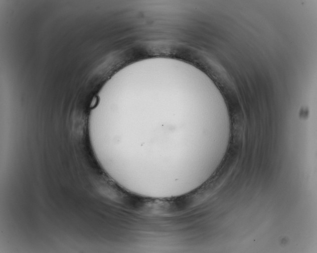 X0000101120125200807241208