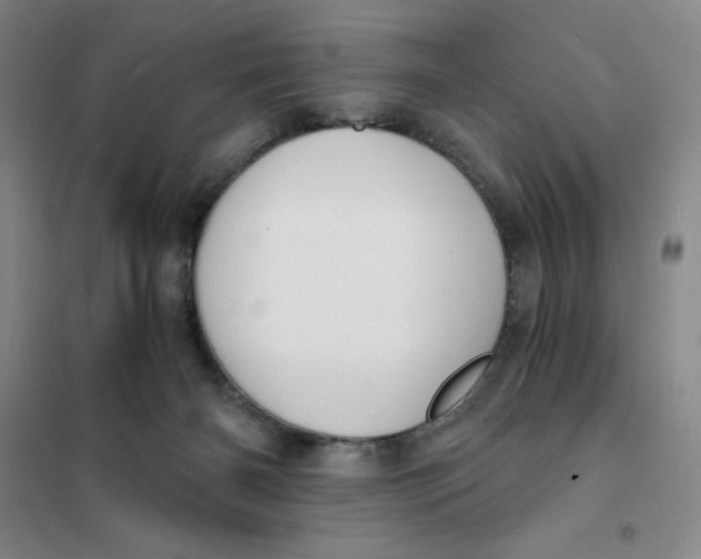 X0000101120126200807241208