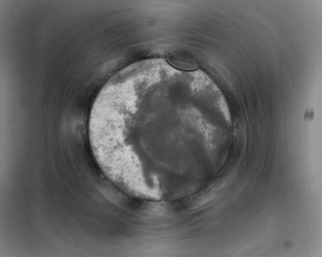 X0000101120127200807241208