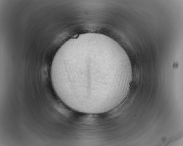 X0000101120128200807241208