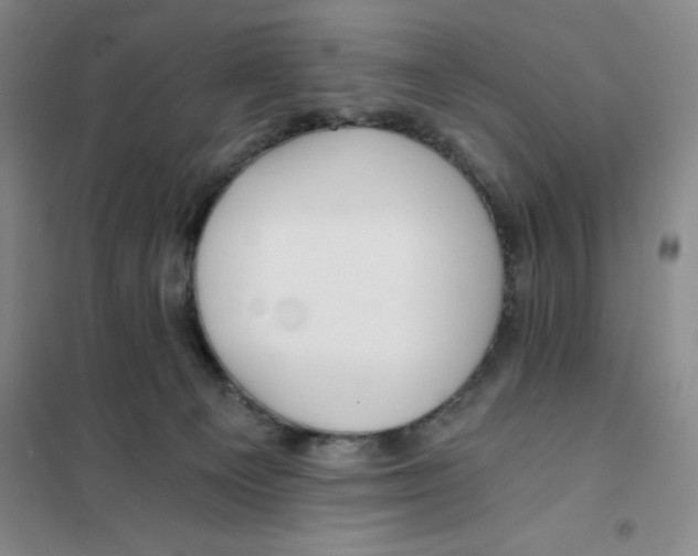 X0000101120129200807241208