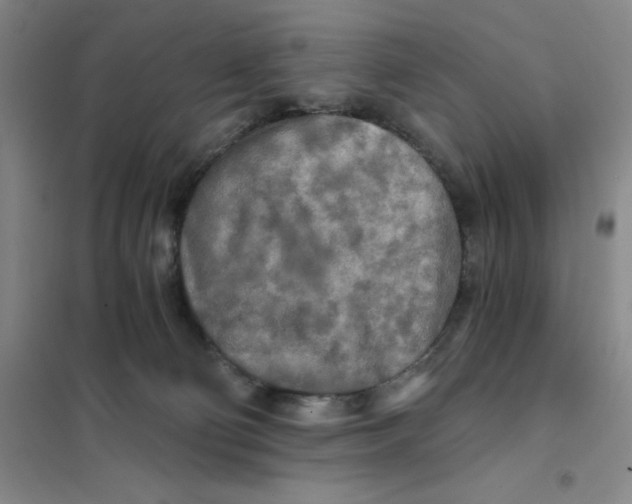 X0000101120130200807241208