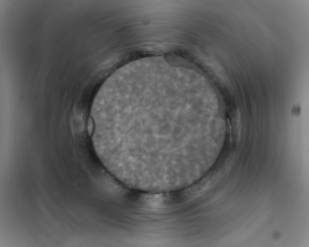 X0000101120131200807241208