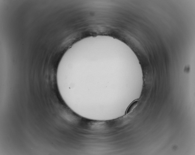 X0000101120132200807241208