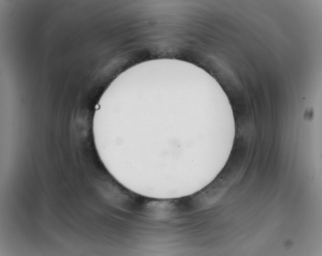 X0000101120133200807241208