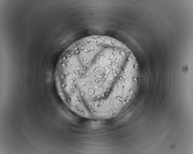 X0000101120134200807241208