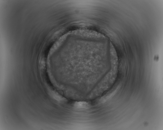 X0000101120137200807241208