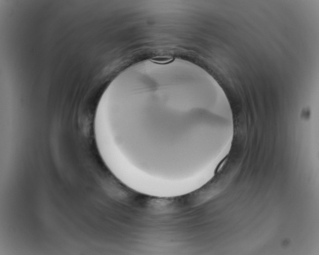 X0000101120139200807241208