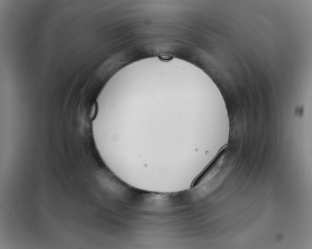 X0000101120140200807241208