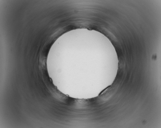 X0000101120141200807241208