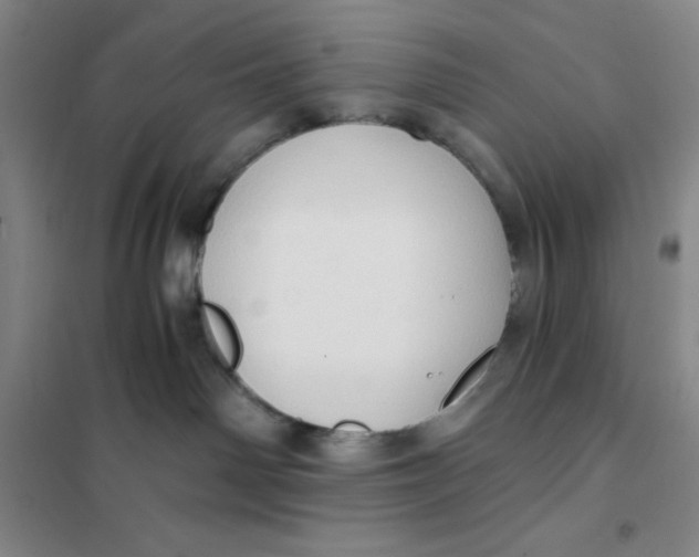 X0000101120142200807241208