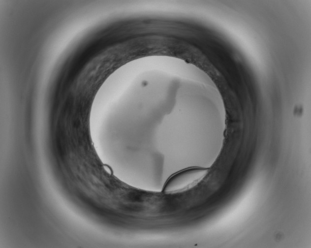 X0000101120143200807241208