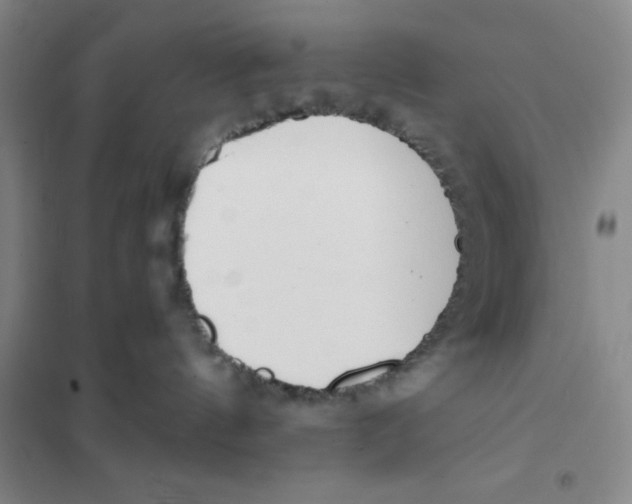 X0000101120144200807241208